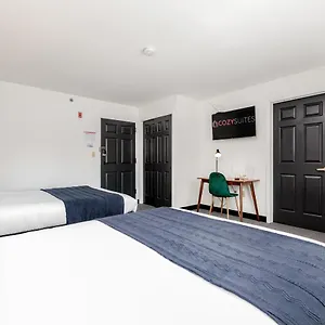 Cozysuites Cwe 2 Queen Bed , Saint Louis United States